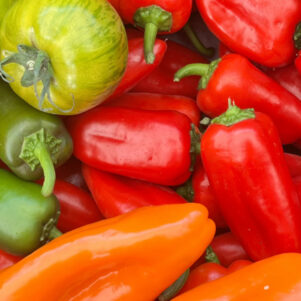 Ferme de kerancreach banniere_1