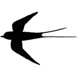 Legumes_finistere_Hirdelle gche