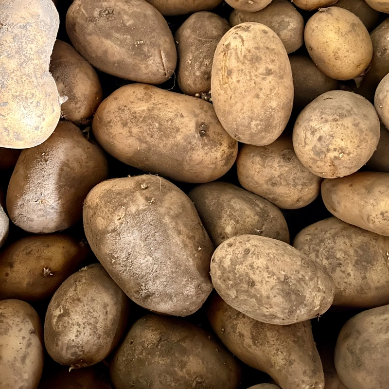 Nos légumes : pommes de terre