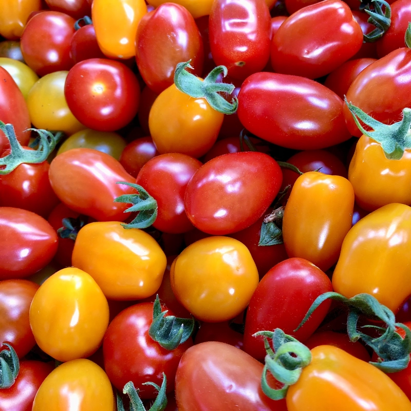 Nos légumes : Tomate cerise