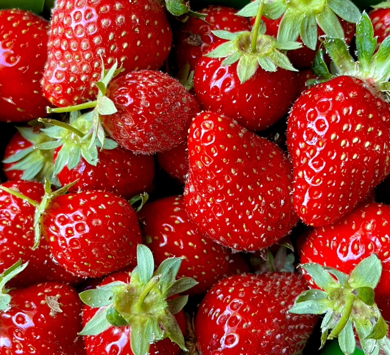 Nos légumes : Fraise