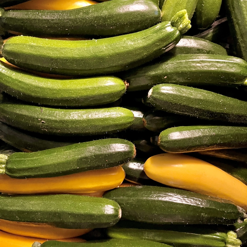 Nos légumes : Courgette