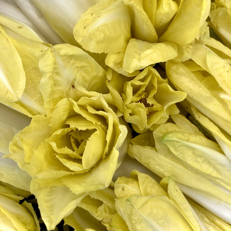 Nos légumes : Endives