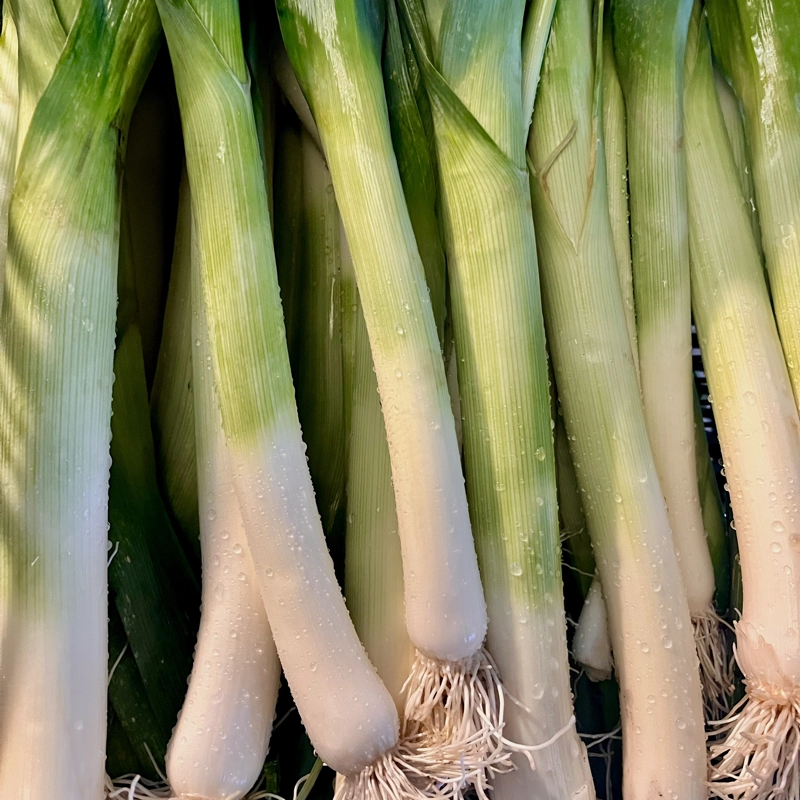 Nos légumes : Poireaux
